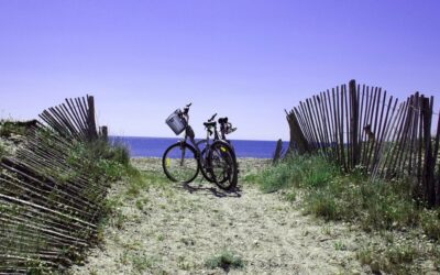 Que faire à Oléron quand on ne surfe pas ? Activités autour de Vert Bois